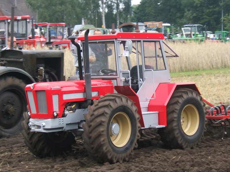 2010, Bild 2