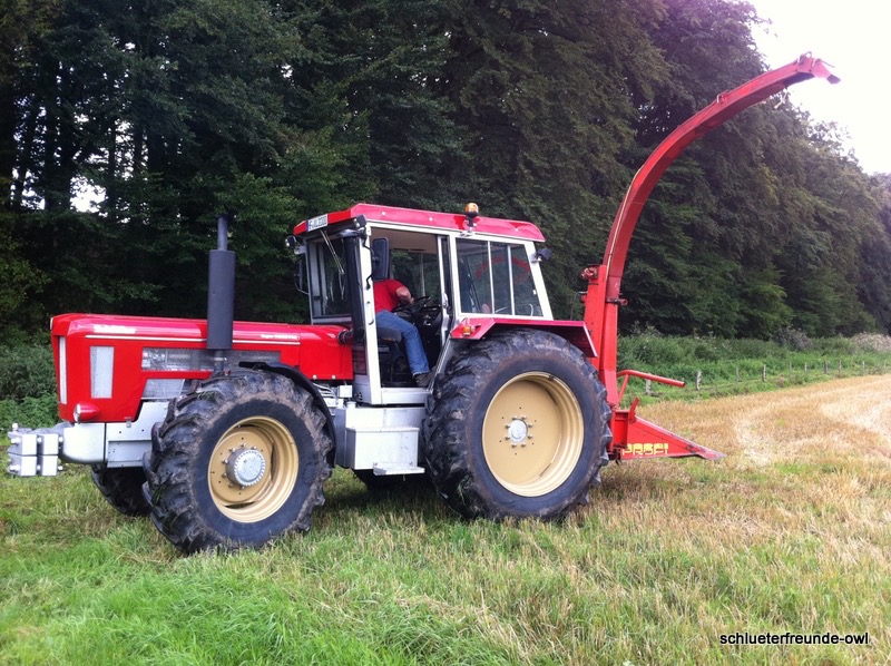 Erder Mais, Bild 2