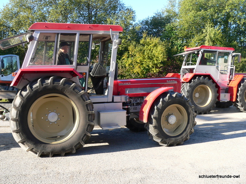 kleiner Feldtag, Bild 2