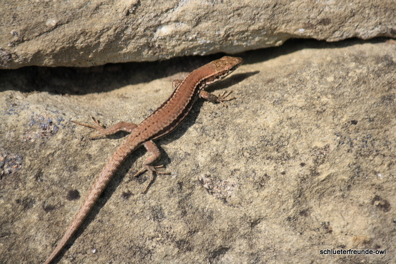 Samstag, Bild 16