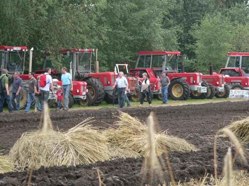 Nordhorn, Bild 16