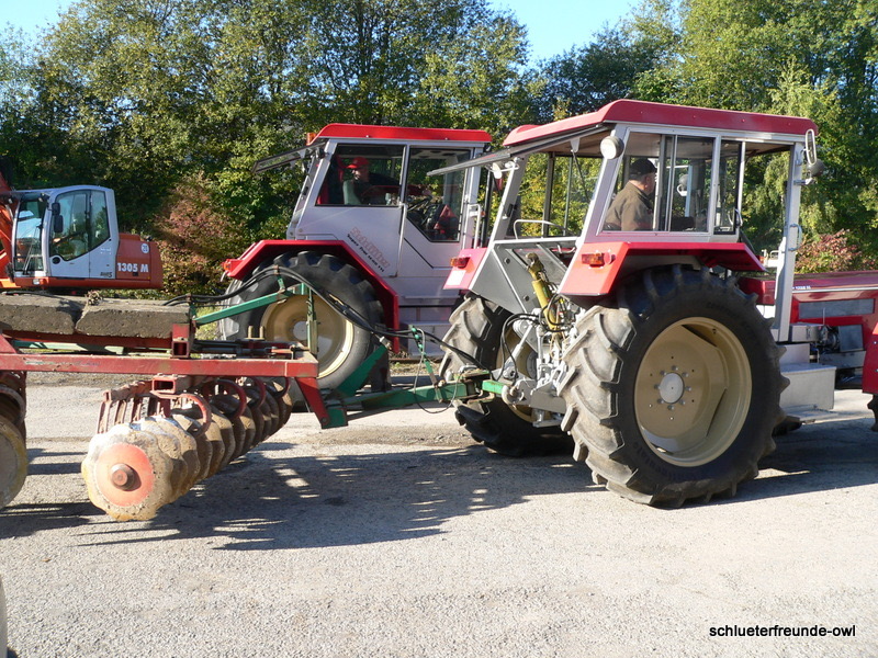 kleiner Feldtag, Bild 3