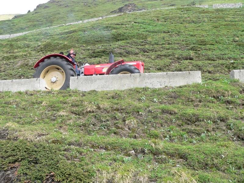 1.Stilfserjoch Oldtimer Traktor, Bild 74