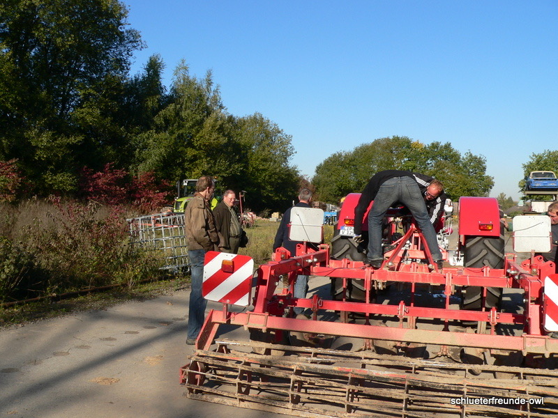 kleiner Feldtag, Bild 10