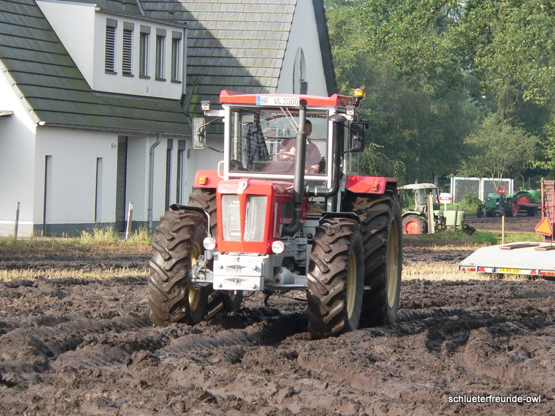 Sonntag, Bild 14