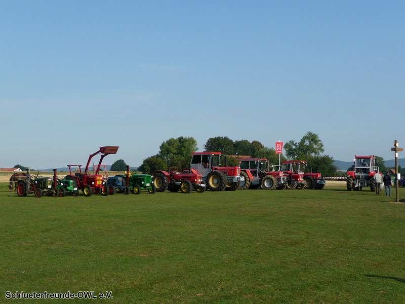 1. Feldtag 2009, Bild 90