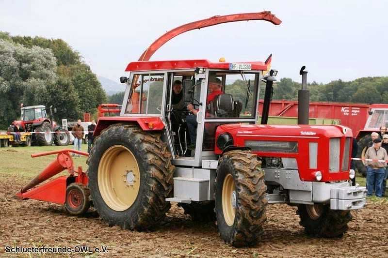 2. Feldtag 2010, Bild 3