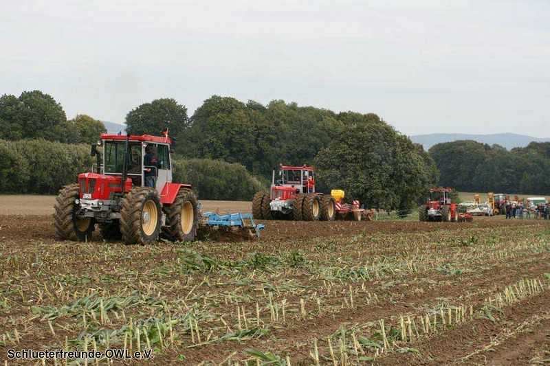2. Feldtag 2010, Bild 6