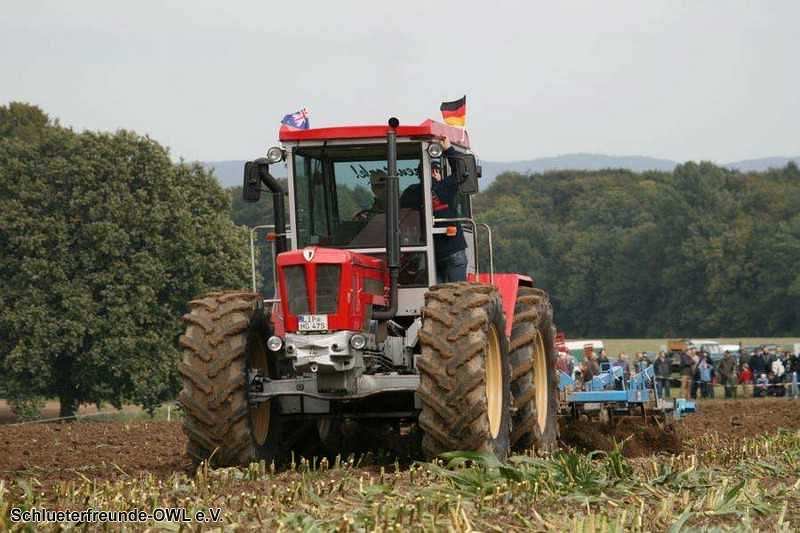 2. Feldtag 2010, Bild 8
