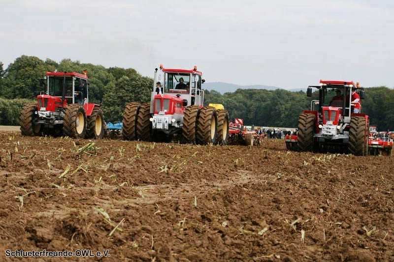 2. Feldtag 2010, Bild 10