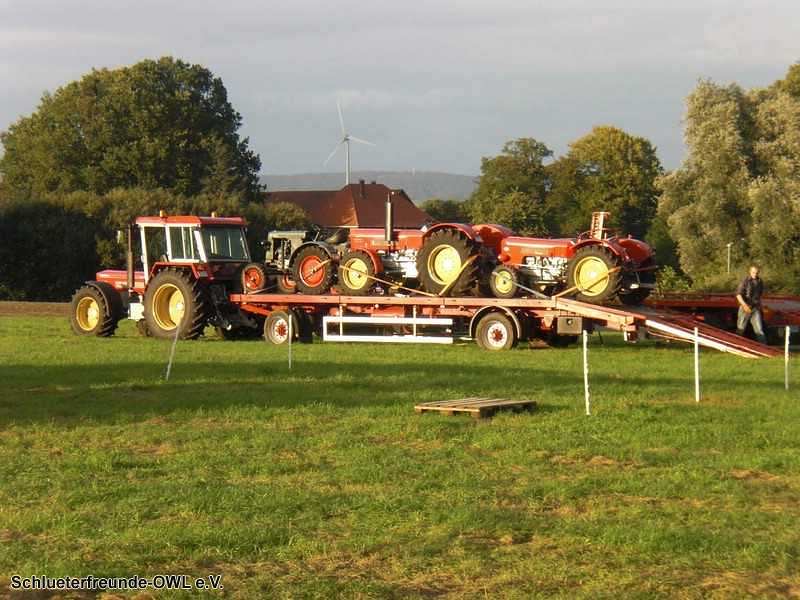 2. Feldtag 2010, Bild 13