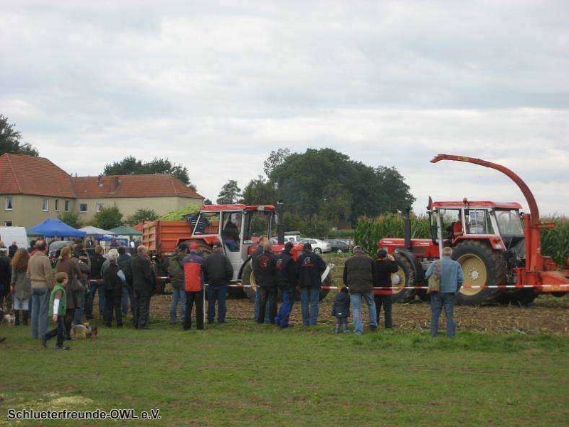 2. Feldtag 2010, Bild 24