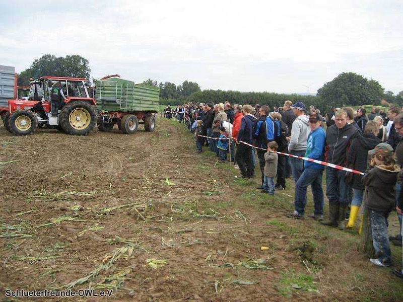 2. Feldtag 2010, Bild 28