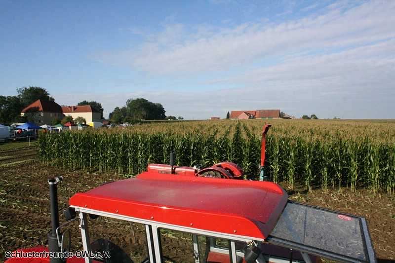 2. Feldtag 2010, Bild 33