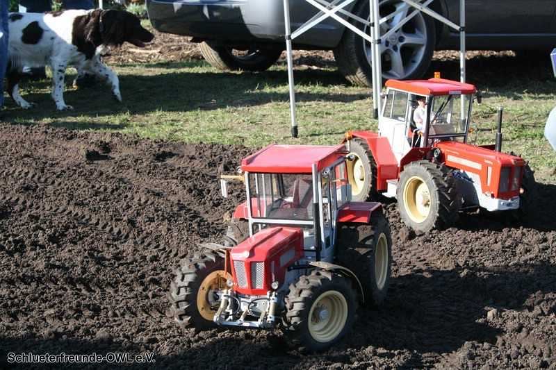 2. Feldtag 2010, Bild 39