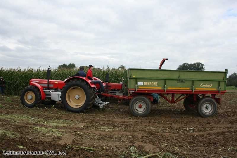 2. Feldtag 2010, Bild 62