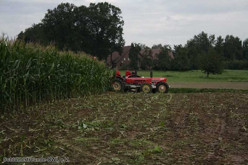 2. Feldtag 2010, Bild 64
