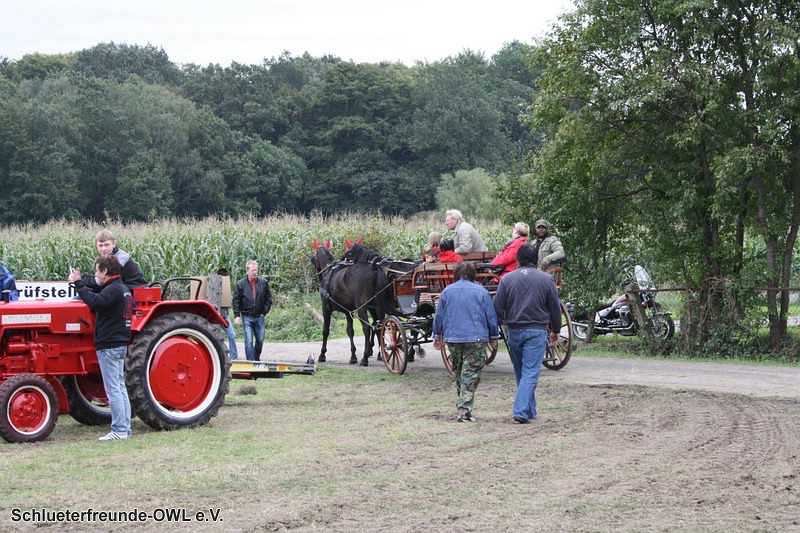 2. Feldtag 2010, Bild 104