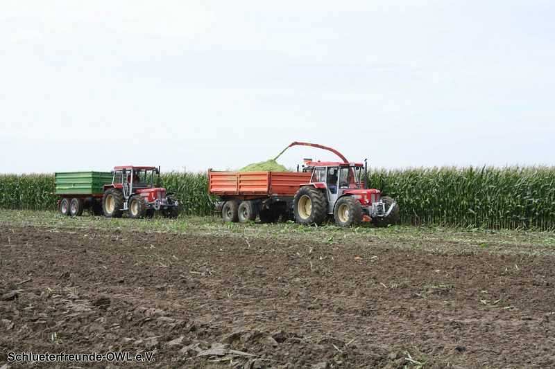 2. Feldtag 2010, Bild 107