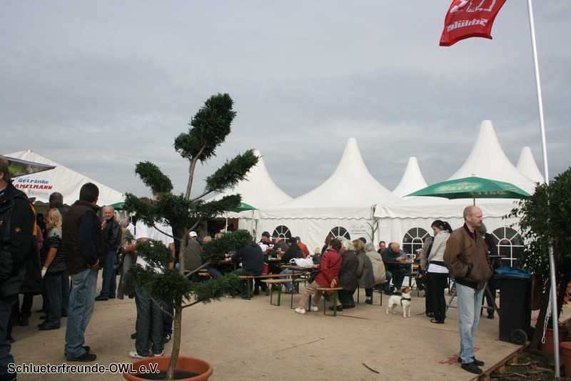 2. Feldtag 2010, Bild 110