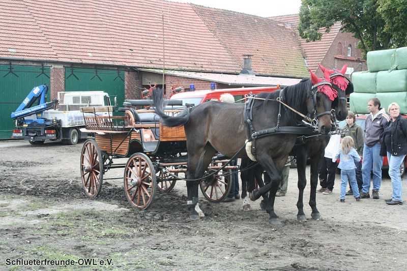 2. Feldtag 2010, Bild 131