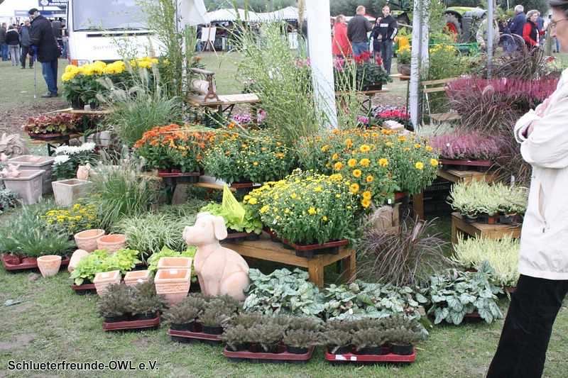 2. Feldtag 2010, Bild 148