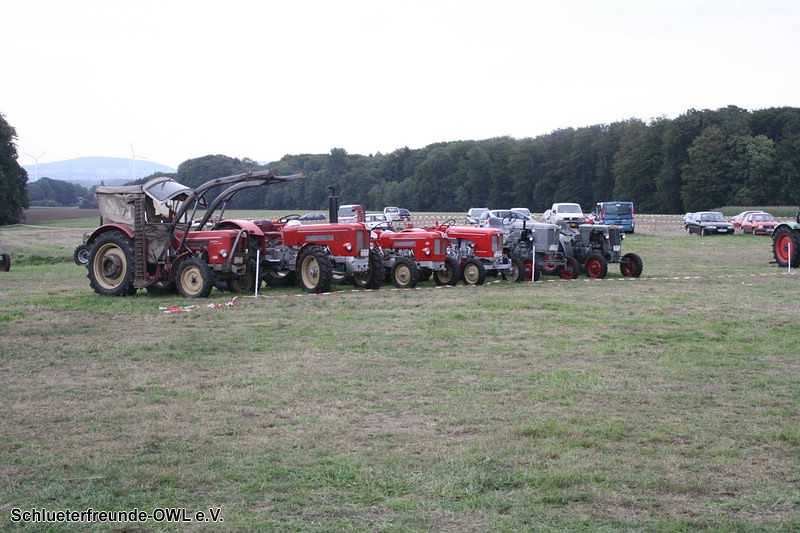 2. Feldtag 2010, Bild 154