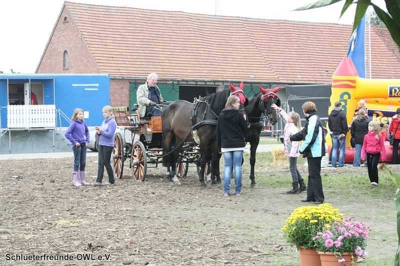 2. Feldtag 2010, Bild 157