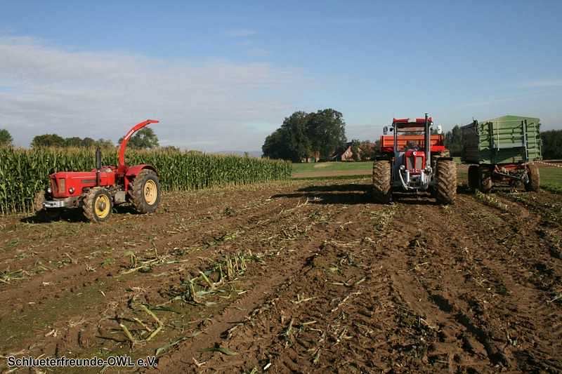 2. Feldtag 2010, Bild 170
