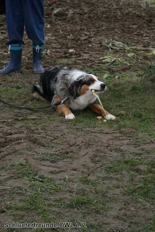 2. Feldtag 2010, Bild 179