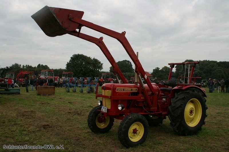 2. Feldtag 2010, Bild 181