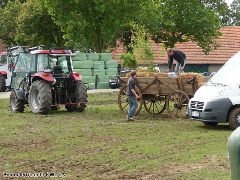 2. Feldtag 2010, Bild 198