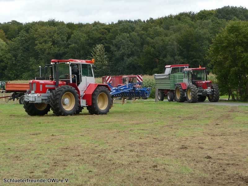 2. Feldtag 2010, Bild 202