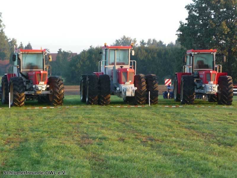 2. Feldtag 2010, Bild 213