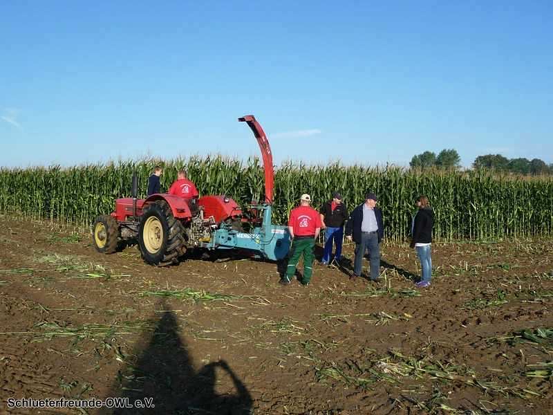 2. Feldtag 2010, Bild 217