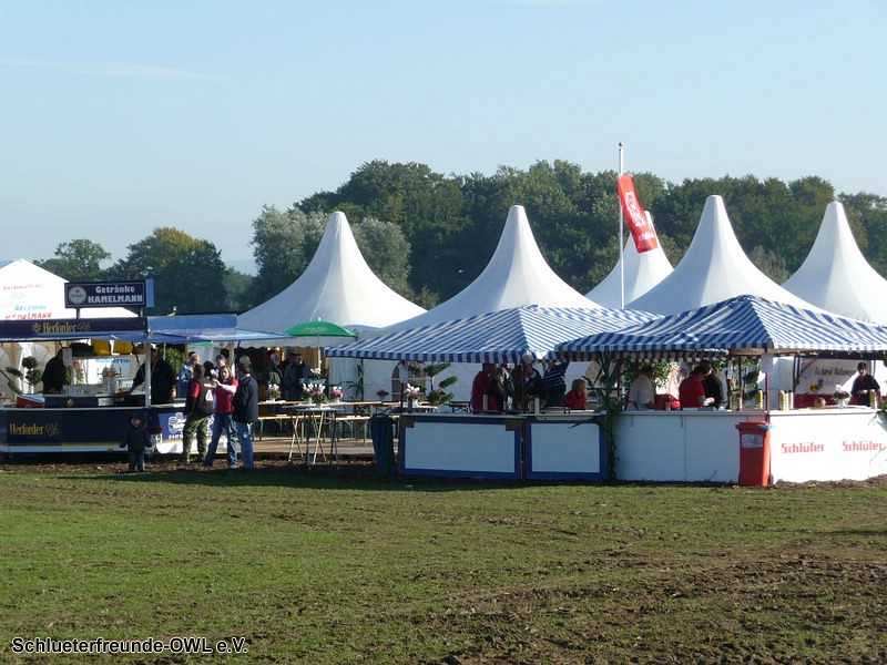 2. Feldtag 2010, Bild 220