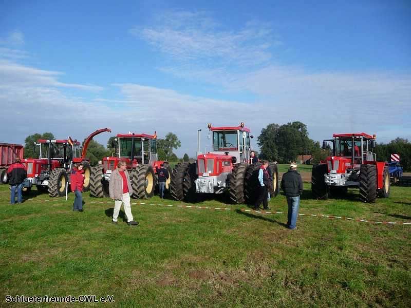 2. Feldtag 2010, Bild 221