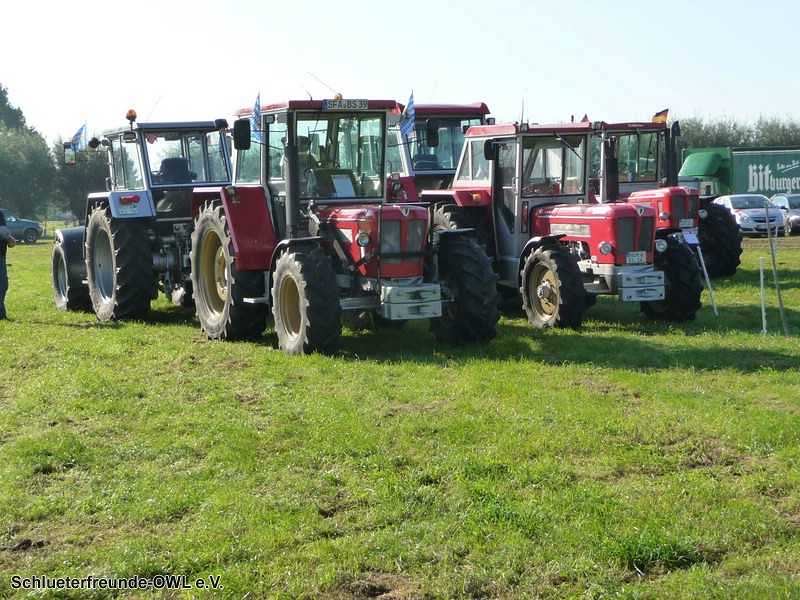 2. Feldtag 2010, Bild 222