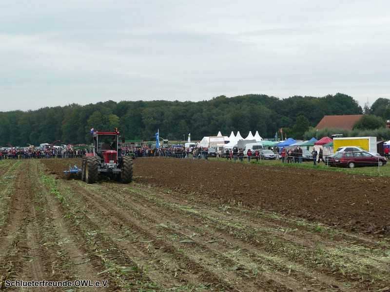 2. Feldtag 2010, Bild 223