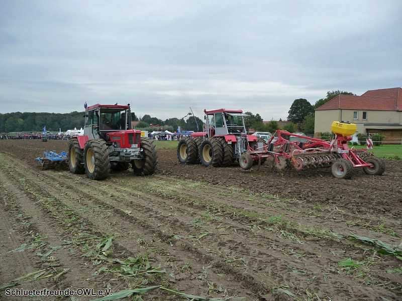 2. Feldtag 2010, Bild 224