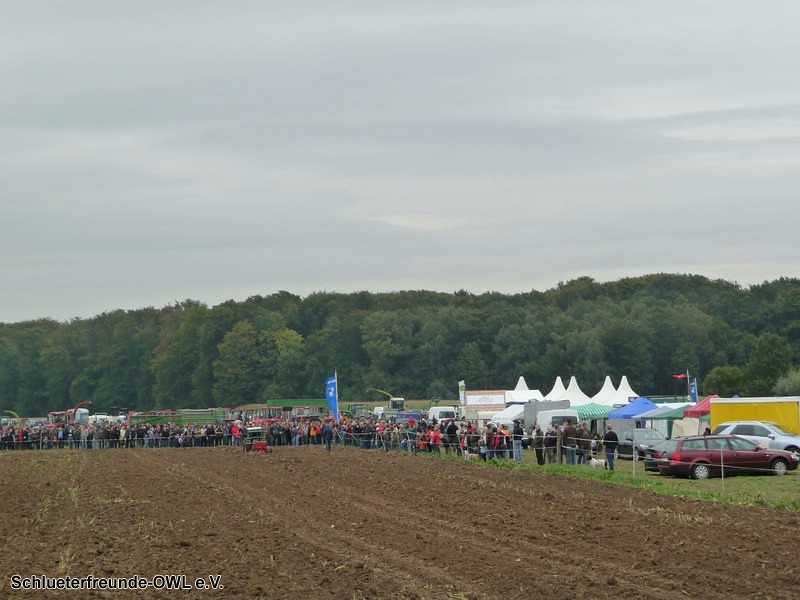 2. Feldtag 2010, Bild 225