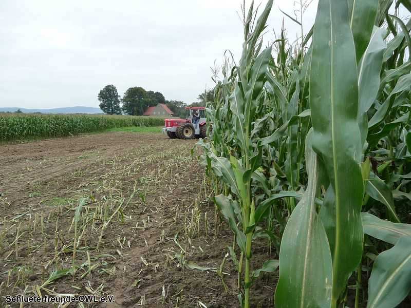 2. Feldtag 2010, Bild 227