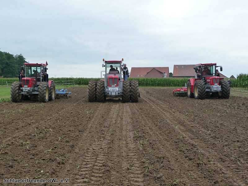 2. Feldtag 2010, Bild 228