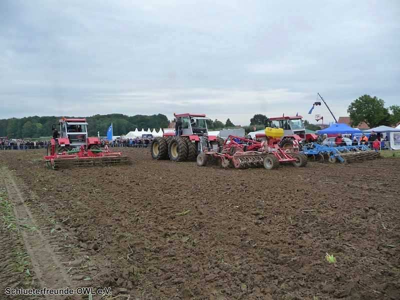 2. Feldtag 2010, Bild 229