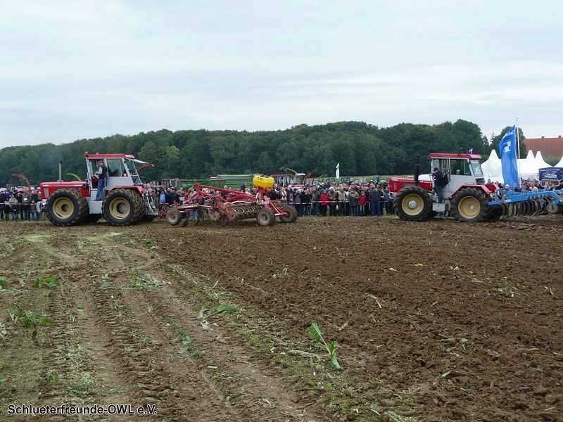 2. Feldtag 2010, Bild 230