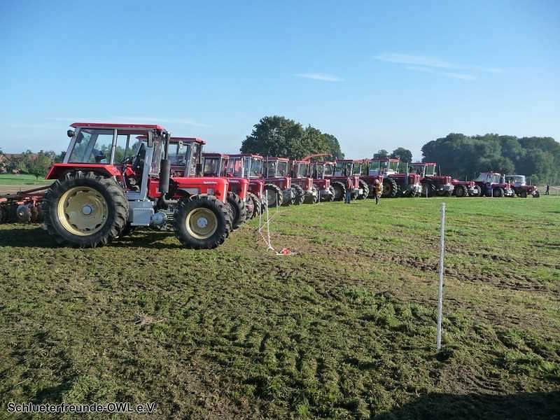 2. Feldtag 2010, Bild 254