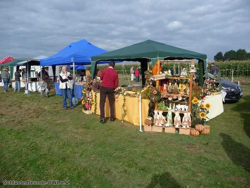 2. Feldtag 2010, Bild 273