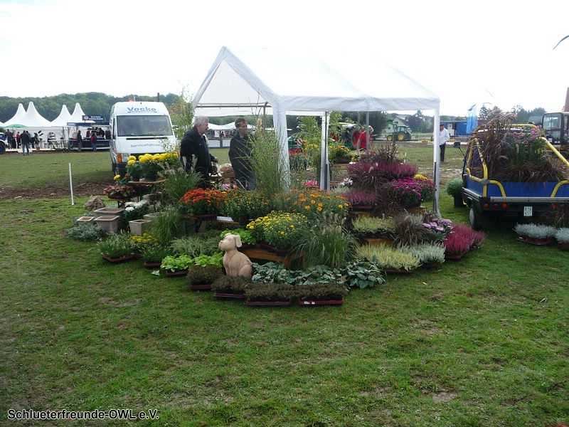 2. Feldtag 2010, Bild 278