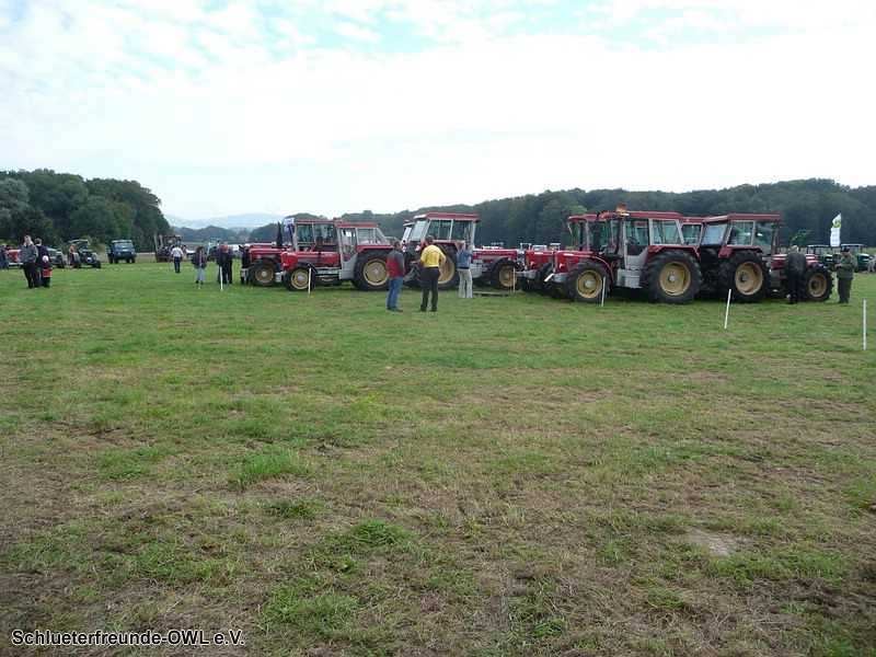 2. Feldtag 2010, Bild 292
