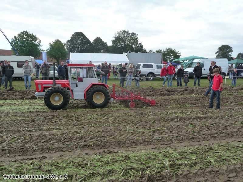 2. Feldtag 2010, Bild 298